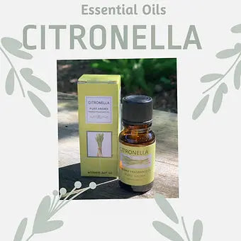 Pure Citronella Essential Oil - My Store